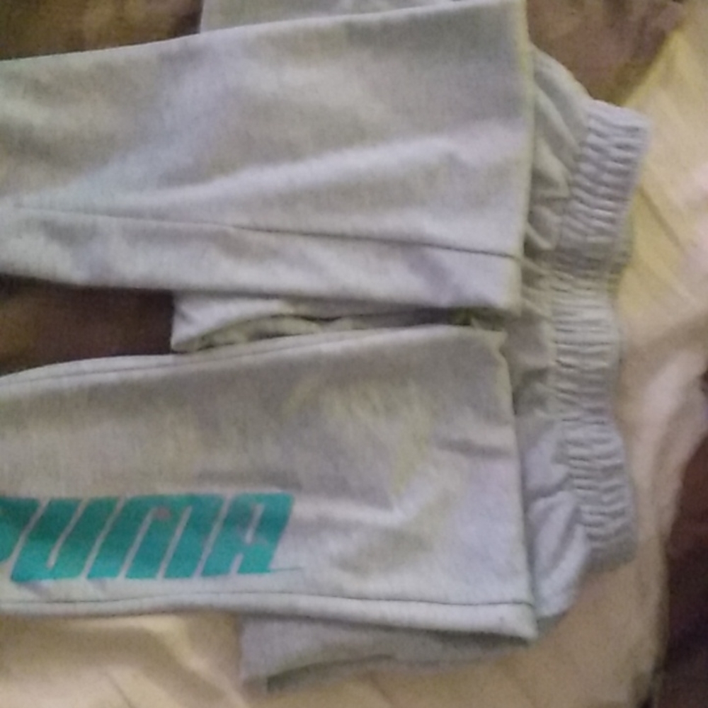 Puma grey with aqua writing, US Large.